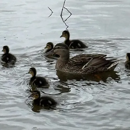 Hébergement de vacances G&j Fourmidables