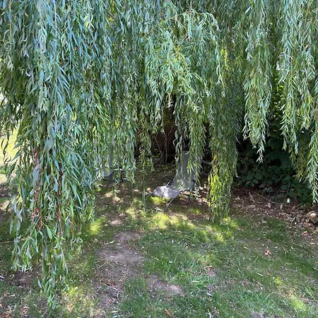 Hébergement de vacances G&j Fourmidables *