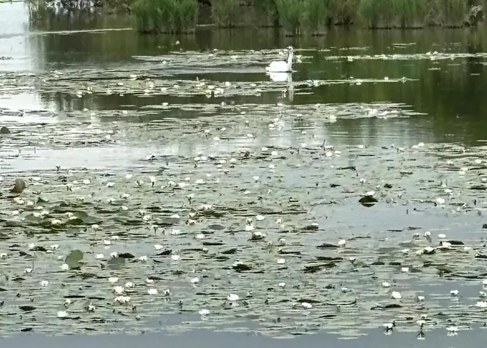 G&j Fourmidables * Recourt (Pas-de-Calais)