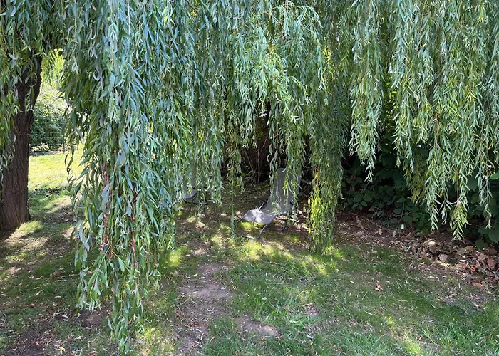 Дом отдыха G&j Fourmidables *